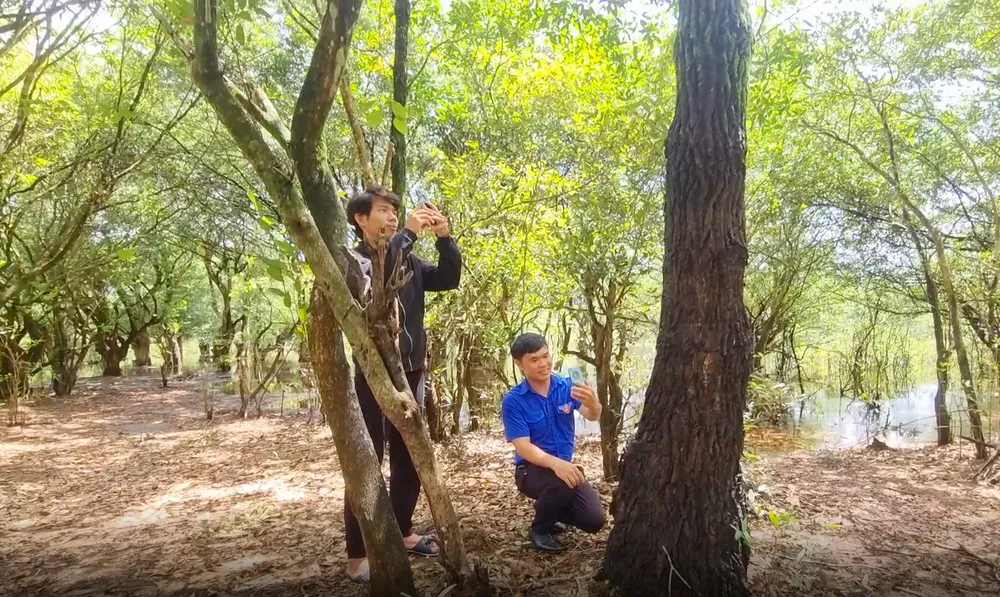 Đoàn thanh niên xã được giao nhiệm vụ giữ gìn khu rừng luôn sạch đẹp. Rung-lun-Ia-Grai-Gia-Lai-6.jpg
