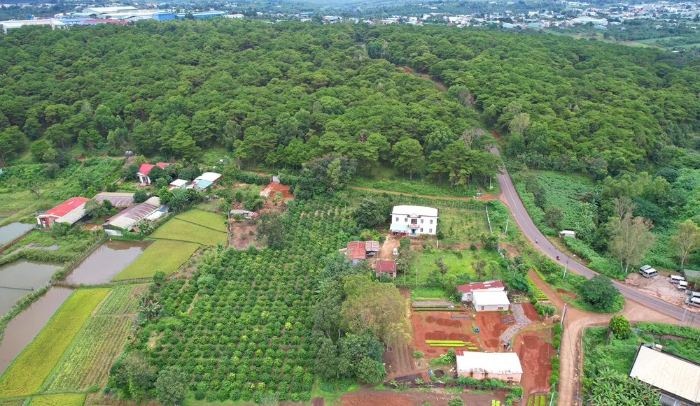 Dat-rung-ba-quan-ly-rung-phong-ho-bac-bien-ho 2.jpg