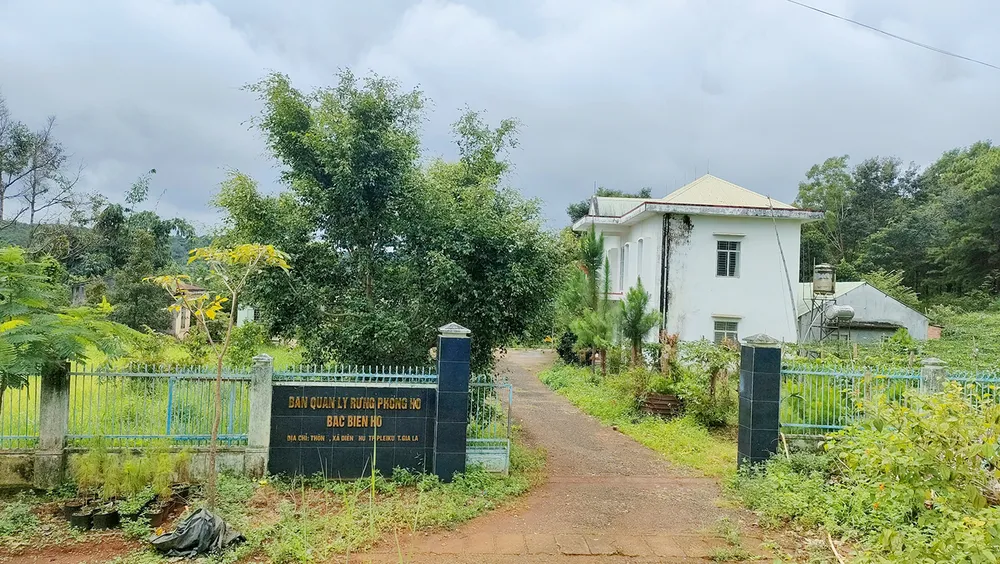 Dat-rung-ba-quan-ly-rung-phong-ho-bac-bien-ho 4.jpg