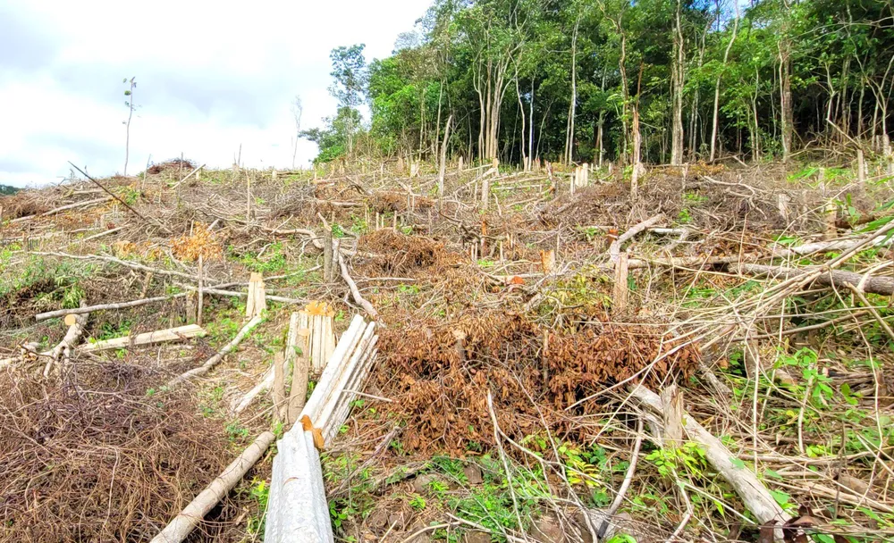 Pha-rung-o-huyen-kong-chro-Gia-lai 1.jpg