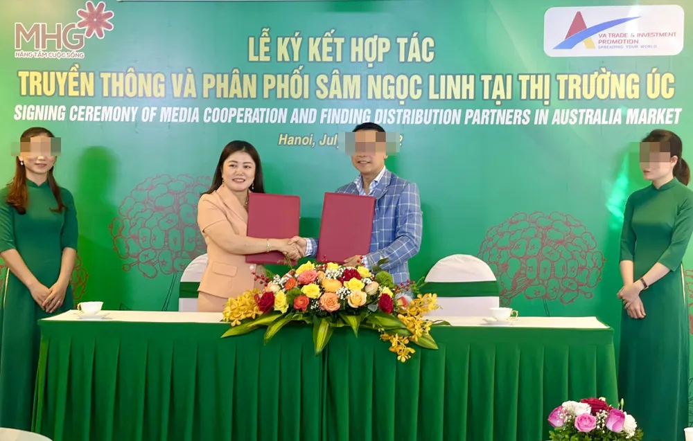 Tập đoàn Mỹ Hạnh, Sâm Ngọc Linh