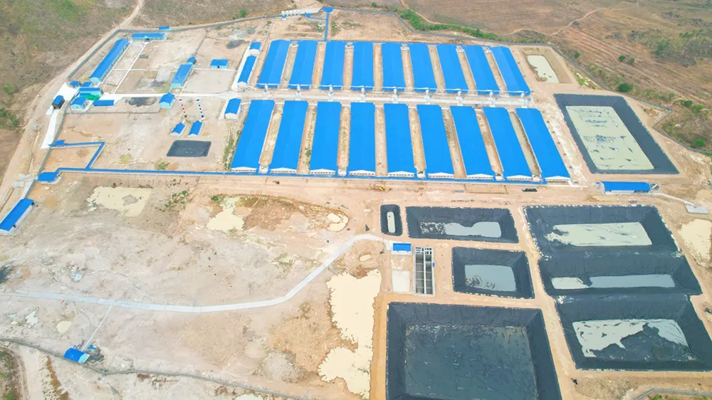 Chăn Nuôi heo Gia Lai