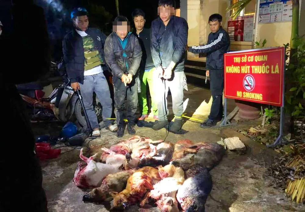 Bắt hai đối tượng trộm chó