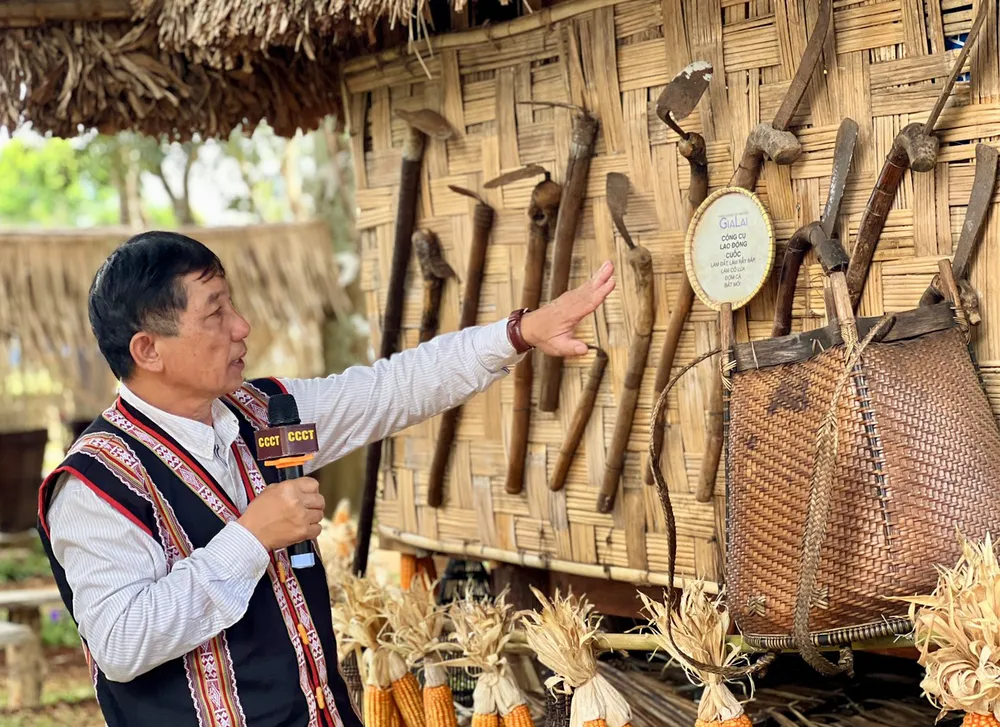 Hiện vật Tây Nguyên