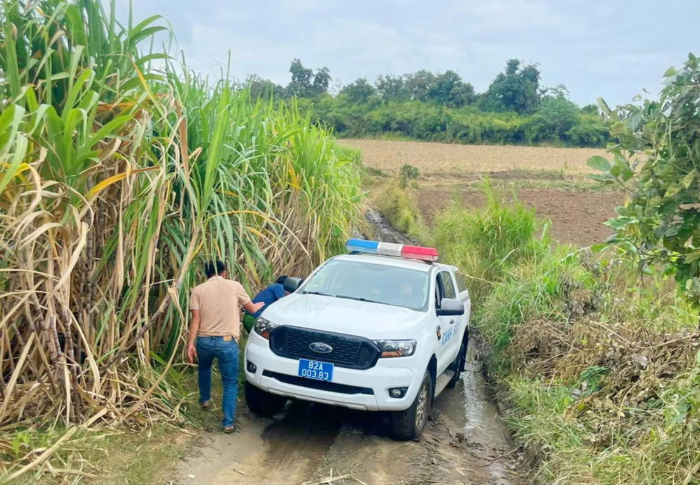 Hai cha con mất tích