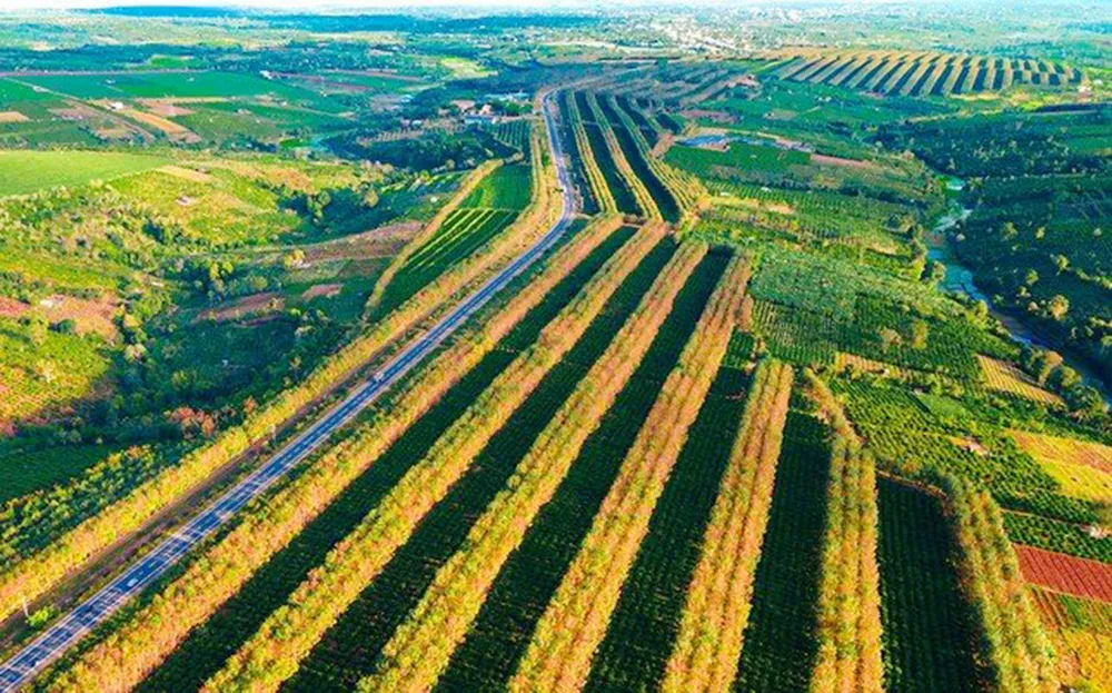 Tây Nguyên mùa đẹp nhất