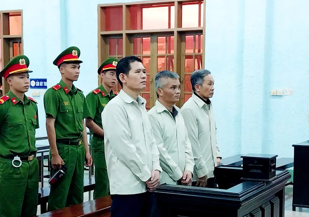 Thuê đất trồng rừng hủy hoại rừng