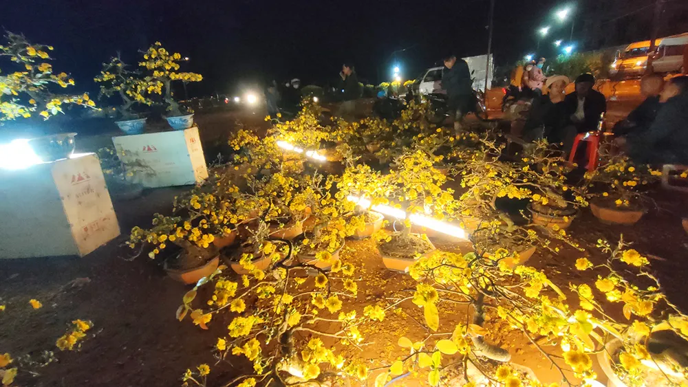 Người bán hoa Gia Lai xả hàng vì ế ẩm