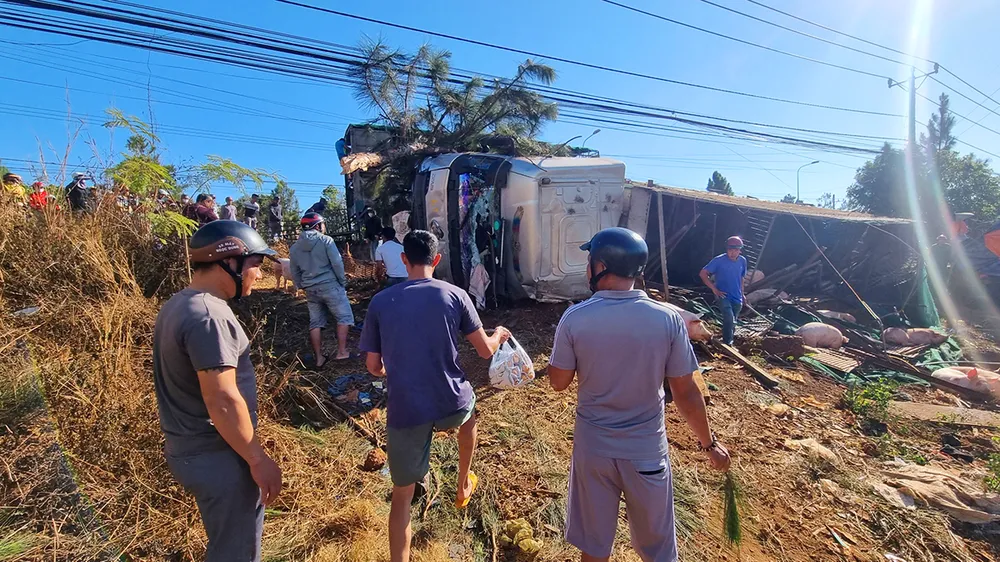 tranh-xe-may-lat-xe-tai-cho-heo 3.jpg