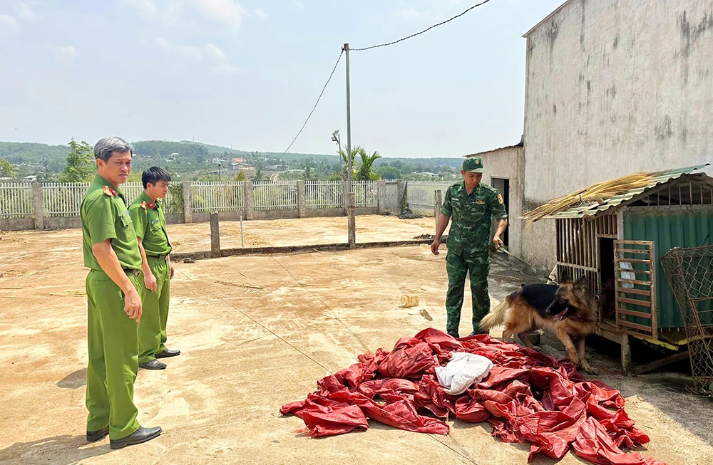 Công an huyện Ngọc Hồi dùng chó nghiệp vụ tìm ma túy đá. Ảnh: CACC. Triệt phá vụ vận chuyển ma túy lớn liên tỉnh