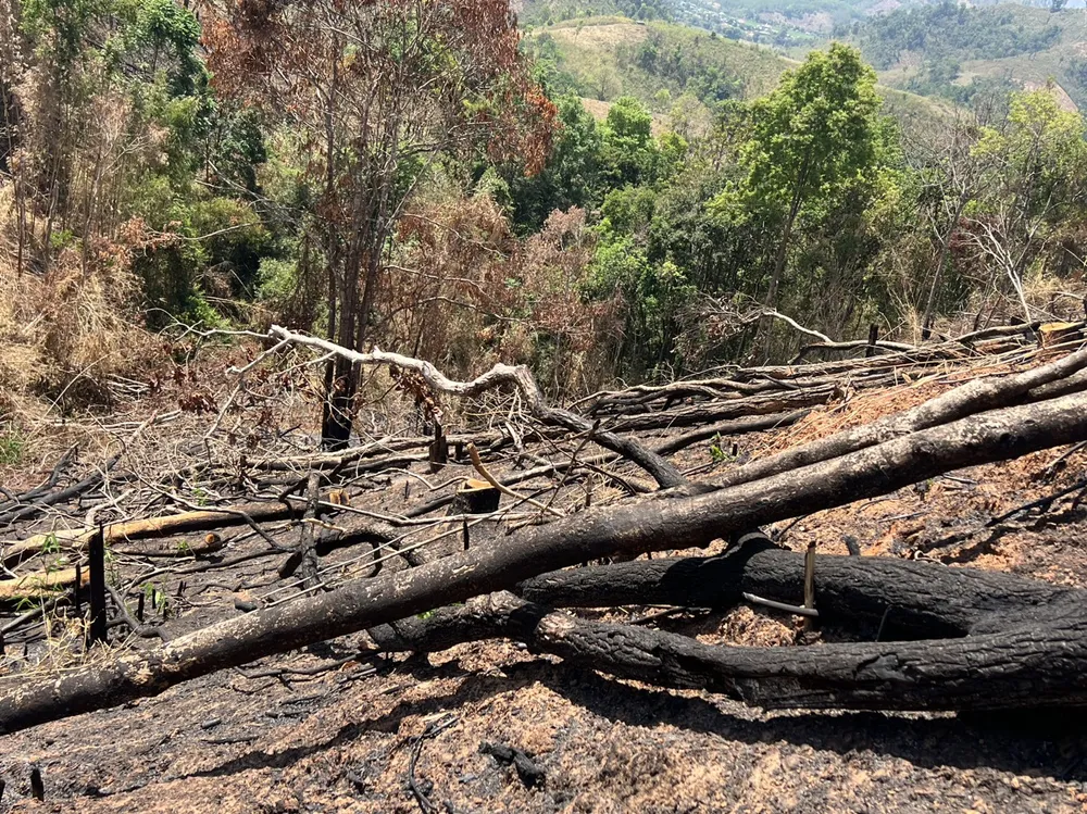 Phá rừng Đăk Hà báo cáo không đúng
