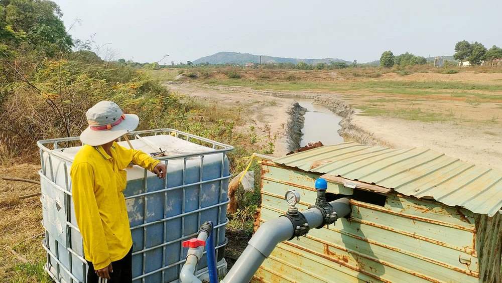 Anh Nguyễn Thanh Vũ mỗi ngày chỉ tưới nước chưa tới hai giờ do hạn hán, nước hồ khô kiệt. Ảnh: LK. Nông dân Tây Nguyên quay quắt trong hạn hạn kéo dài