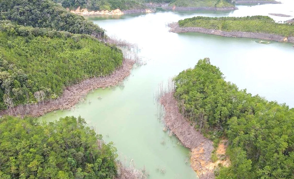 Xử lý trách nhiệm để hơn 25 ha rừng thủy điện thượng kon tum chết ngập