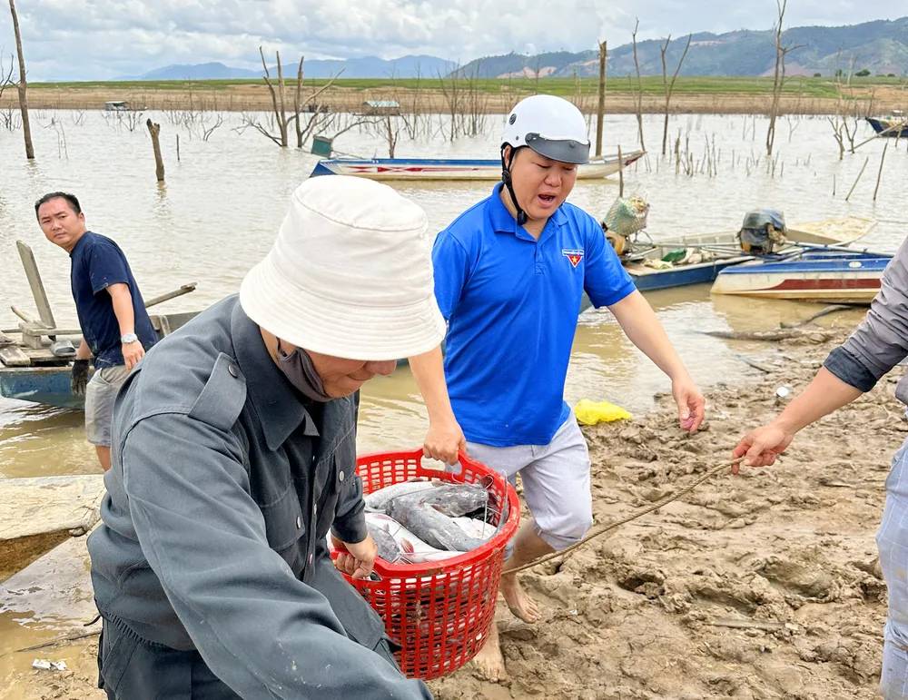 Chính quyền địa phương hỗ trợ người dân đưa cá đi tiêu thụ. Ảnh: TL. Ca-nuoi-long-thuy-dien-ia-ly-chet-hang-loat 3.jpg