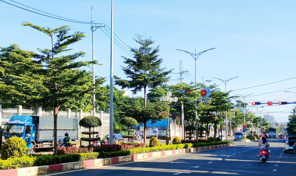 Bộ Công an yêu đề nghị UBND tỉnh Gia lai cung cấp hồ sơ 24 dự án cây xanh