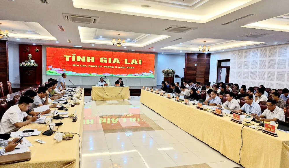 Gia Lai xin chuyển đổi rừng nghèo sang trồng cao su kém hiệu quả sang cây trồng khác