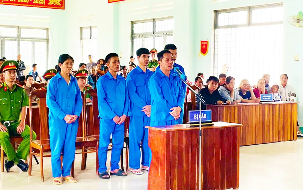 Các bị cáo tại phiên tòa. Ảnh: NC. TAND huyện Đăk Hà tuyên án 5 bị cáo vụ phá rừng nhưng báo dọn thực bì