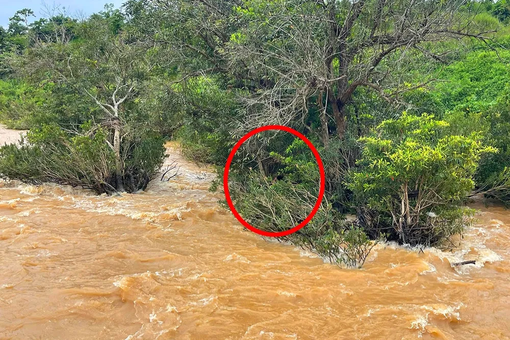 Công an huyện Mang Yang giải cứu thành công thanh niên bị mắc kẹt giữa dong nước lũ lúc đi câu cá