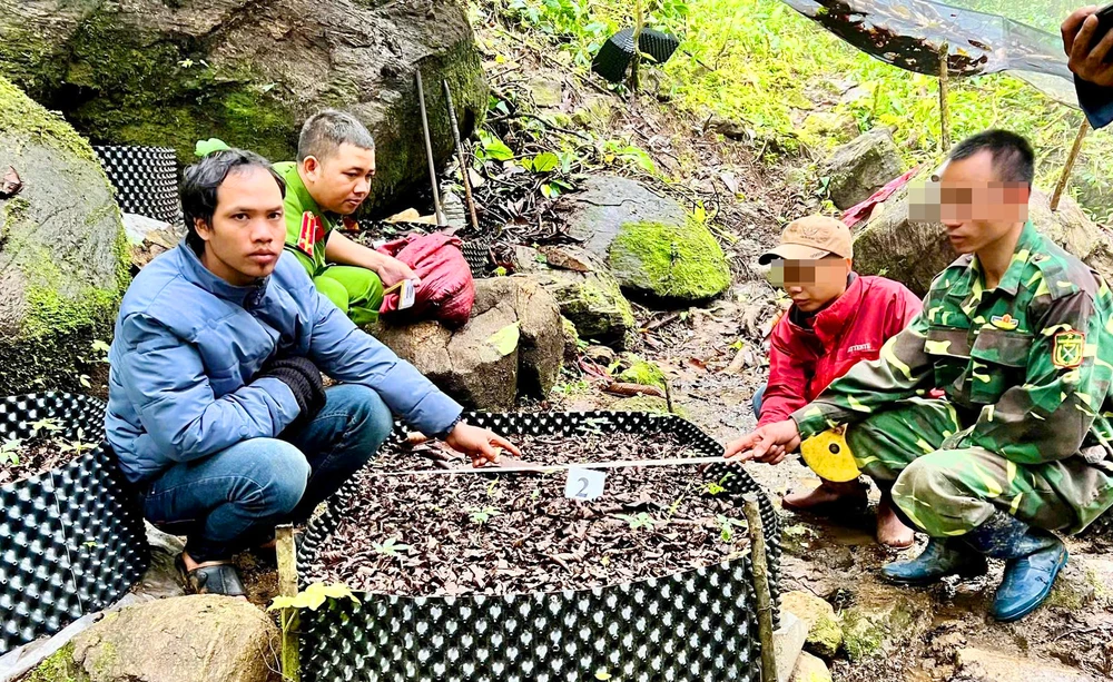 Công an đưa bị can A Ngang lên vườn sâm Ngọc Linh bị trộm dựng lại hiện trường. Ảnh: CA.