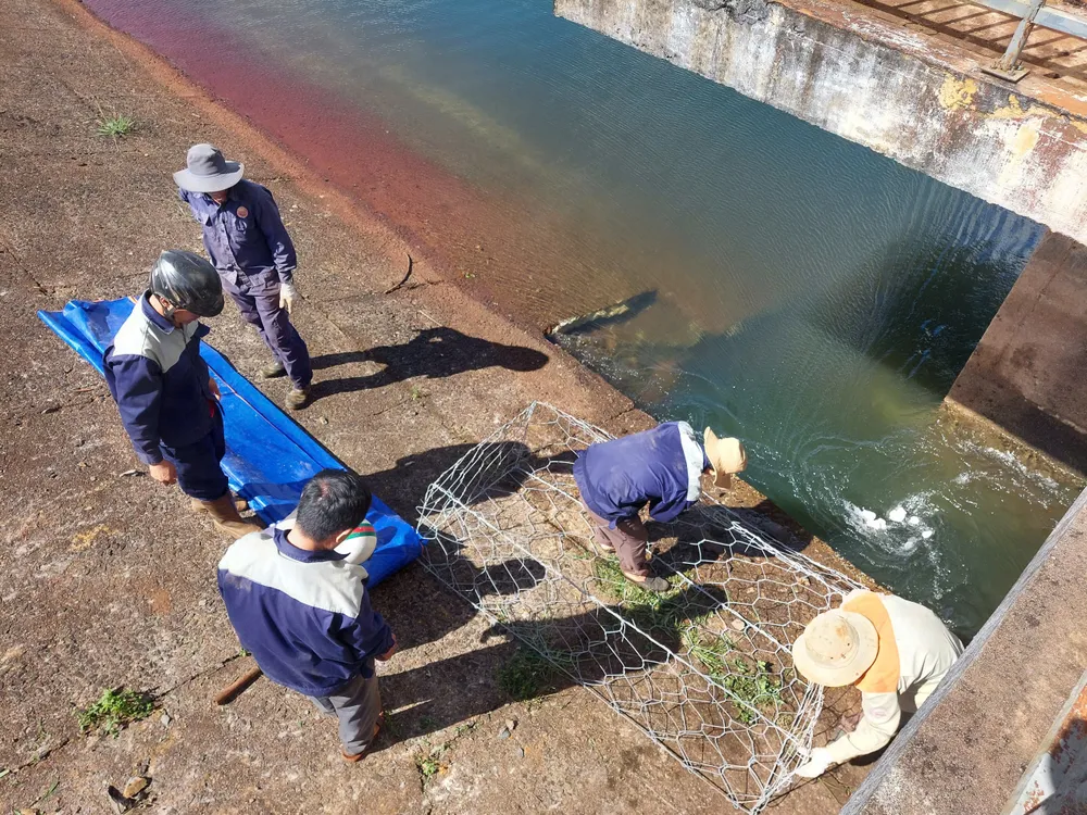 Đập thủy lợi Ia Ring thủng lỗ xuyên qua thân đập ở Chư Sê, Gia Lai