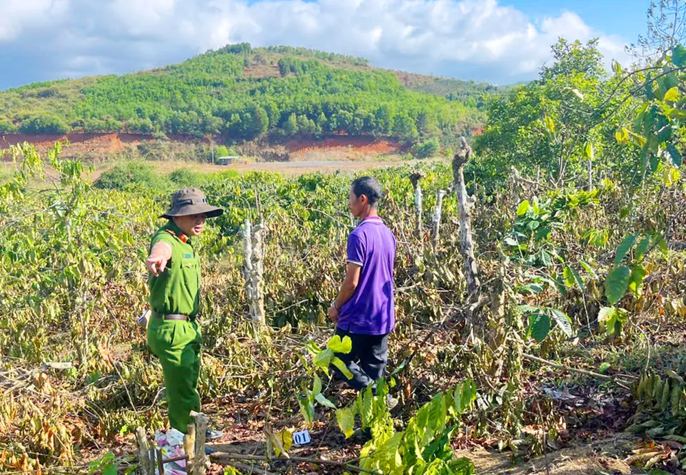 Cong-an-thuc-nghiem-hien-truong-vu-anh-re-pha-hoai-vuon-ca-phe-o-Gia-Lai-1.jpg