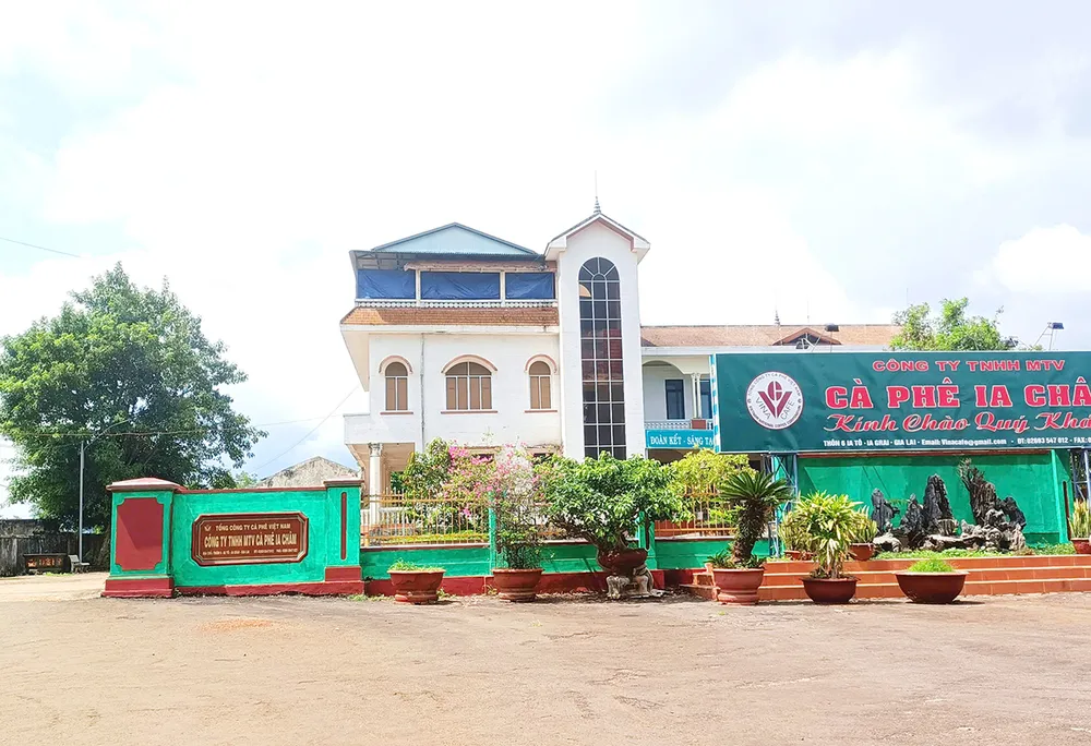 Ông Lê Anh Tuấn, Chủ tịch kiêm Giám đốc Công ty TNHH MTV cà phê Ia Châm (huyện Ia Grai, Gia Lai) bị kỷ luật cách hết chức vụ trong Đảng.