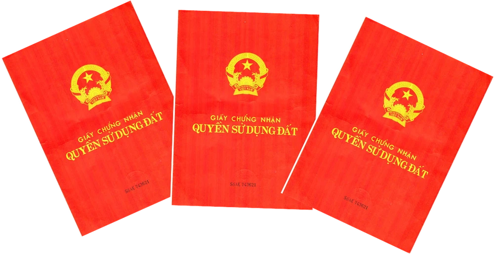 TP.HCM: Gần 37.000 nhà, đất giấy tay sắp được cấp sổ đỏ ảnh 1