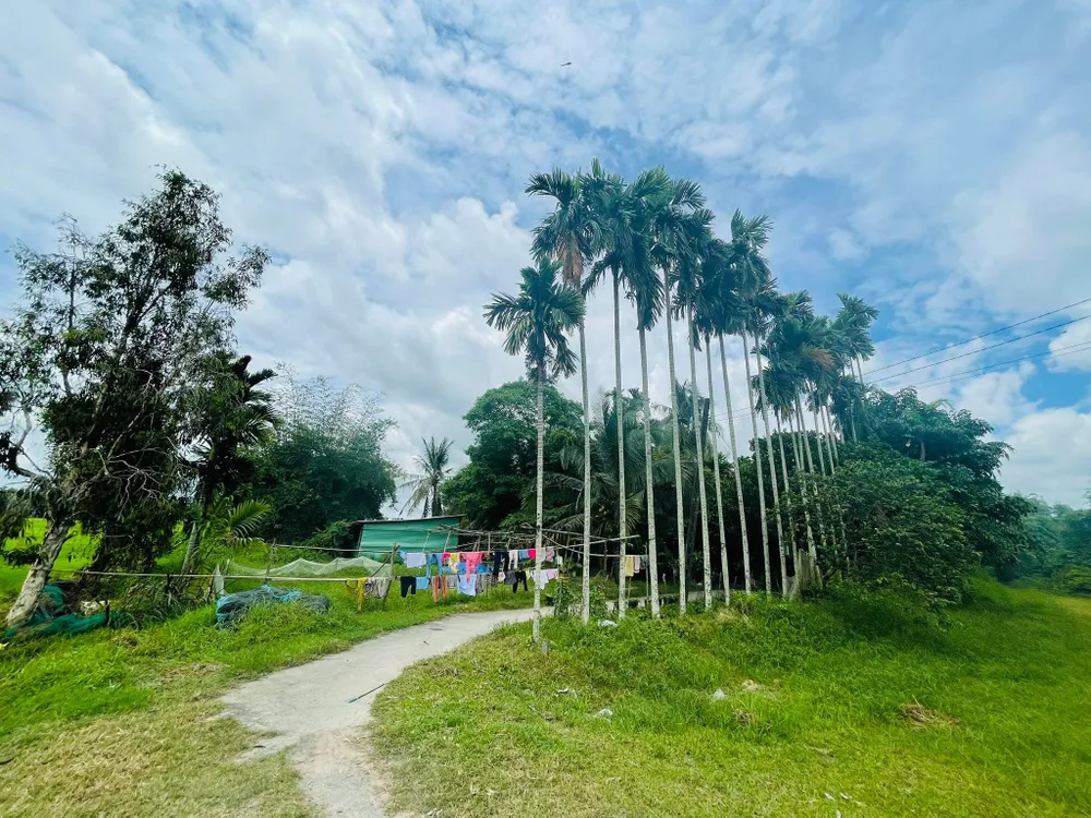 Một khu đất tại dự án Khu công nghiệp Tây Bắc mở rộng ở huyện Củ Chi. Ảnh:VIỆT HOA Một khu đất tại dự án Khu công nghiệp Tây Bắc mở rộng ở huyện Củ Chi. Ảnh:VIỆT HOA