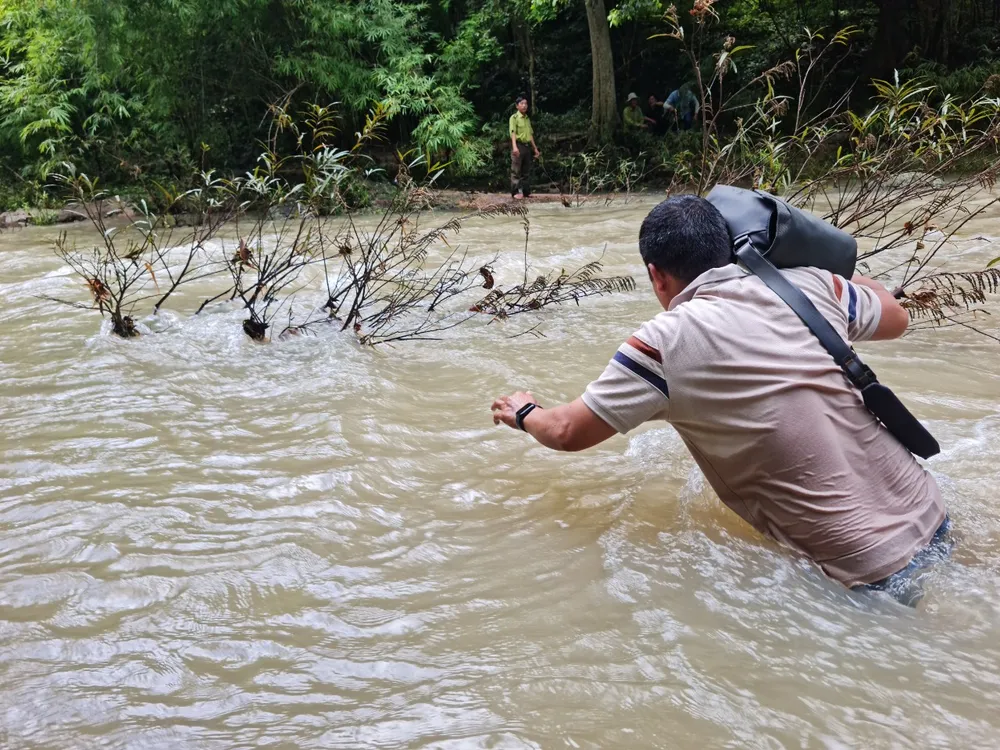 Tác giả vượt qua sông Bà Bích trong lõi rừng khi tham gia đoàn khảo sát của tỉnh Bình Thuận ngày 6-9. Ảnh CTV