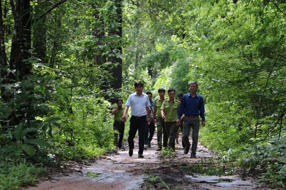 Đoàn khảo sát thực địa của tỉnh Bình Thuận vào trong lõi rừng. Ảnh VÕ TÙNG