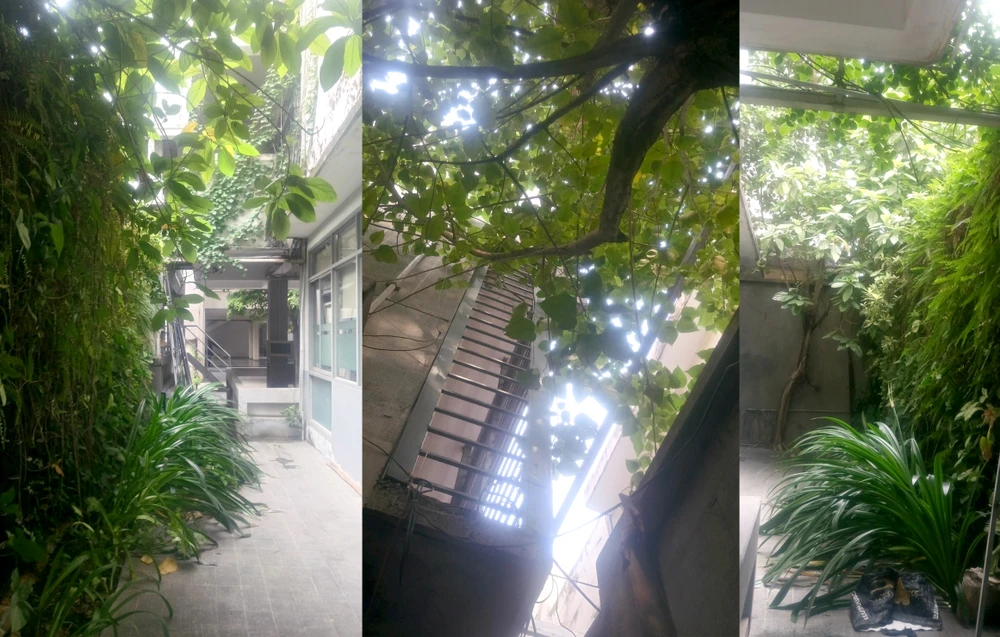 Đột kích 'cái nôi xanh' của nghệ thuật kiến trúc TP.HCM ảnh 10