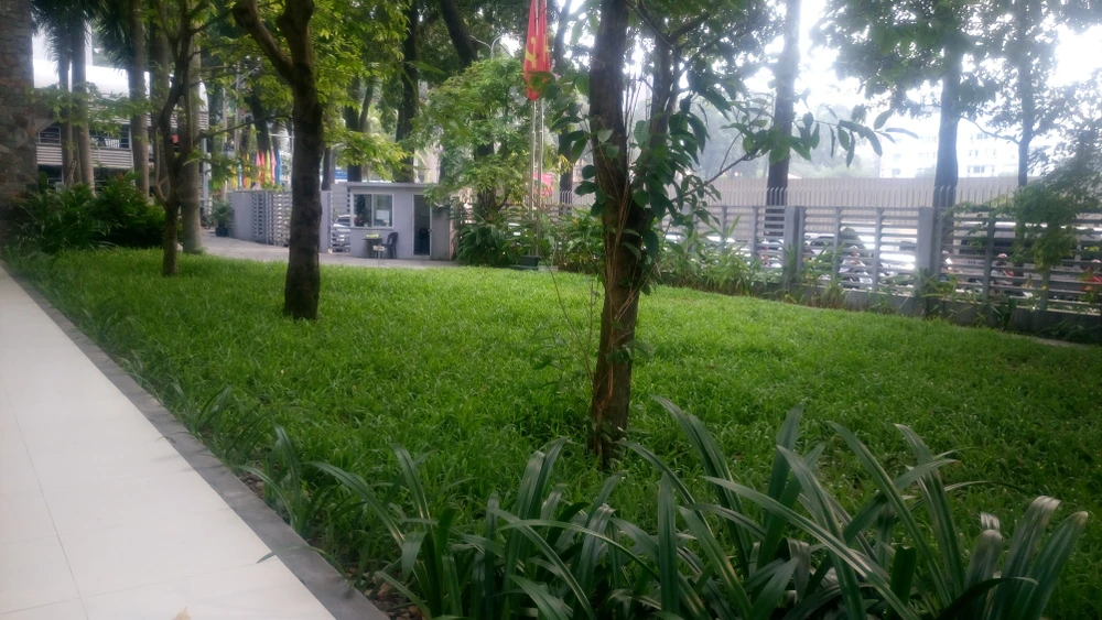 Đột kích 'cái nôi xanh' của nghệ thuật kiến trúc TP.HCM ảnh 14