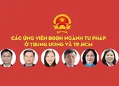 Các ứng viên ĐBQH ngành tư pháp ở Trung ương và TP.HCM