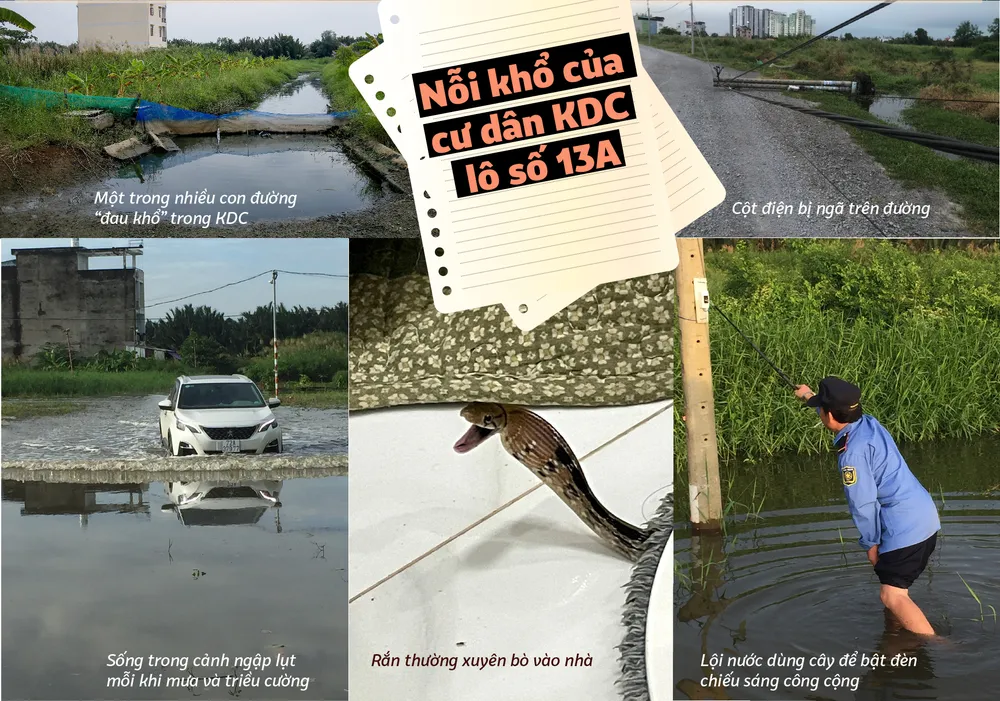 'Siêu dự án' Khu đô thị Nam Sài Gòn ra sao sau 3 thập kỷ? ảnh 7