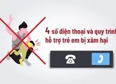 11 trường hợp chủ xe bị thu hồi cà vẹt, biển số ảnh 2 Báo đến đâu khi biết trẻ bị bạo hành?