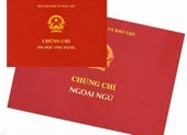 Chính thức bỏ điều kiện chứng chỉ ngoại ngữ, tin học với công chức hành chính