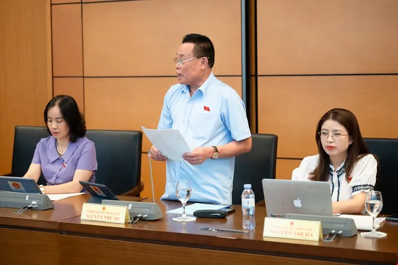 ĐB Nguyễn Như So (đoàn Bắc Ninh). Ảnh: PHẠM THẮNG DB-Nguyen-Nhu-So.jpg