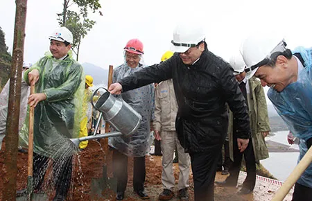 Trồng rừng bảo vệ môi trường thủy điện mới đạt 13% ảnh 1