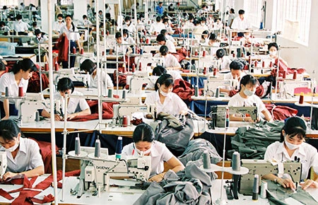 Đừng than phiền, cải tạo mình để phát triển ảnh 1