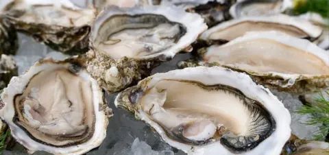 10 món giúp “con giống” của quý ông tăng vùn vụt ảnh 7