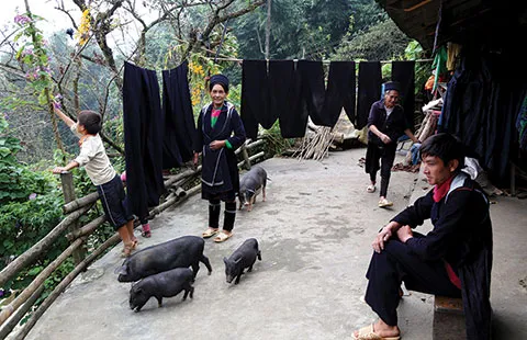 Tìm người trong ảnh, 19 năm sau ảnh 2