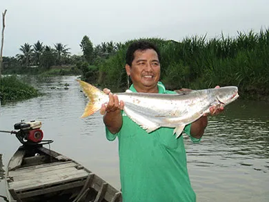 Nghề ‘bà cậu’ ở xứ Vàm Nao ảnh 2 Nghề ‘bà cậu’ ở xứ Vàm Nao ảnh 2