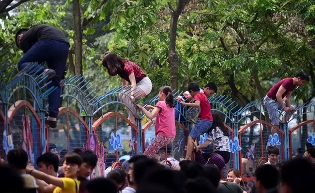 Công viên Hồ Tây hỗn loạn vì… miễn phí ảnh 1