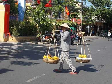 Chuyện ông bí thư ‘cáo quan về vườn’ ảnh 2