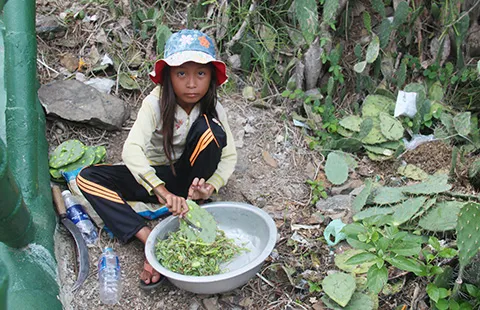 Những miếng xương rồng và giấc mơ đến trường ảnh 1 Những miếng xương rồng và giấc mơ đến trường ảnh 1