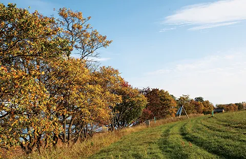 Mùa thu trên dòng Volga ảnh 6