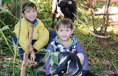 Ðộc đáo lễ hội bắn trâu ảnh 3