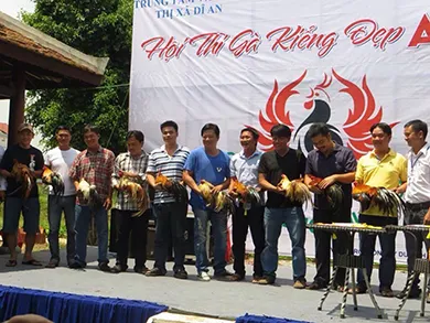 Dân chơi Sài Gòn chăm gà để thi hoa vương ảnh 2 Dân chơi Sài Gòn chăm gà để thi hoa vương ảnh 2