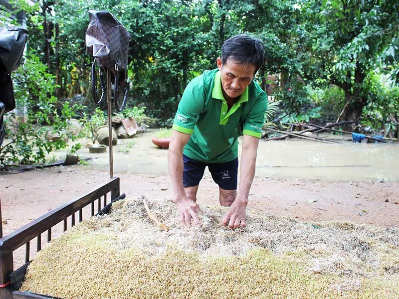 Sau lũ: Đói ăn, mất tết ảnh 4