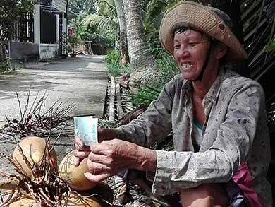Cụ bà 60 kiếm sống trên ngọn dừa ảnh 2 Cụ bà 60 kiếm sống trên ngọn dừa ảnh 2